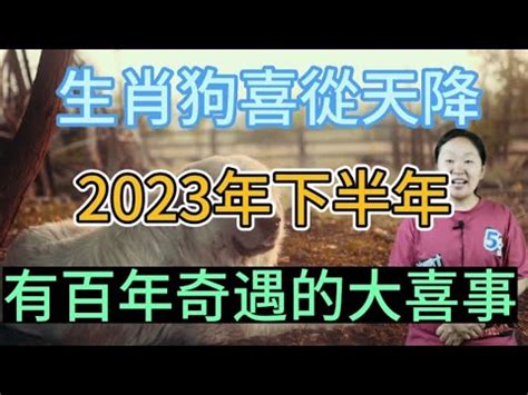 2023屬狗買房|2023年買房運勢最強的2大生肖(圖) 易經 